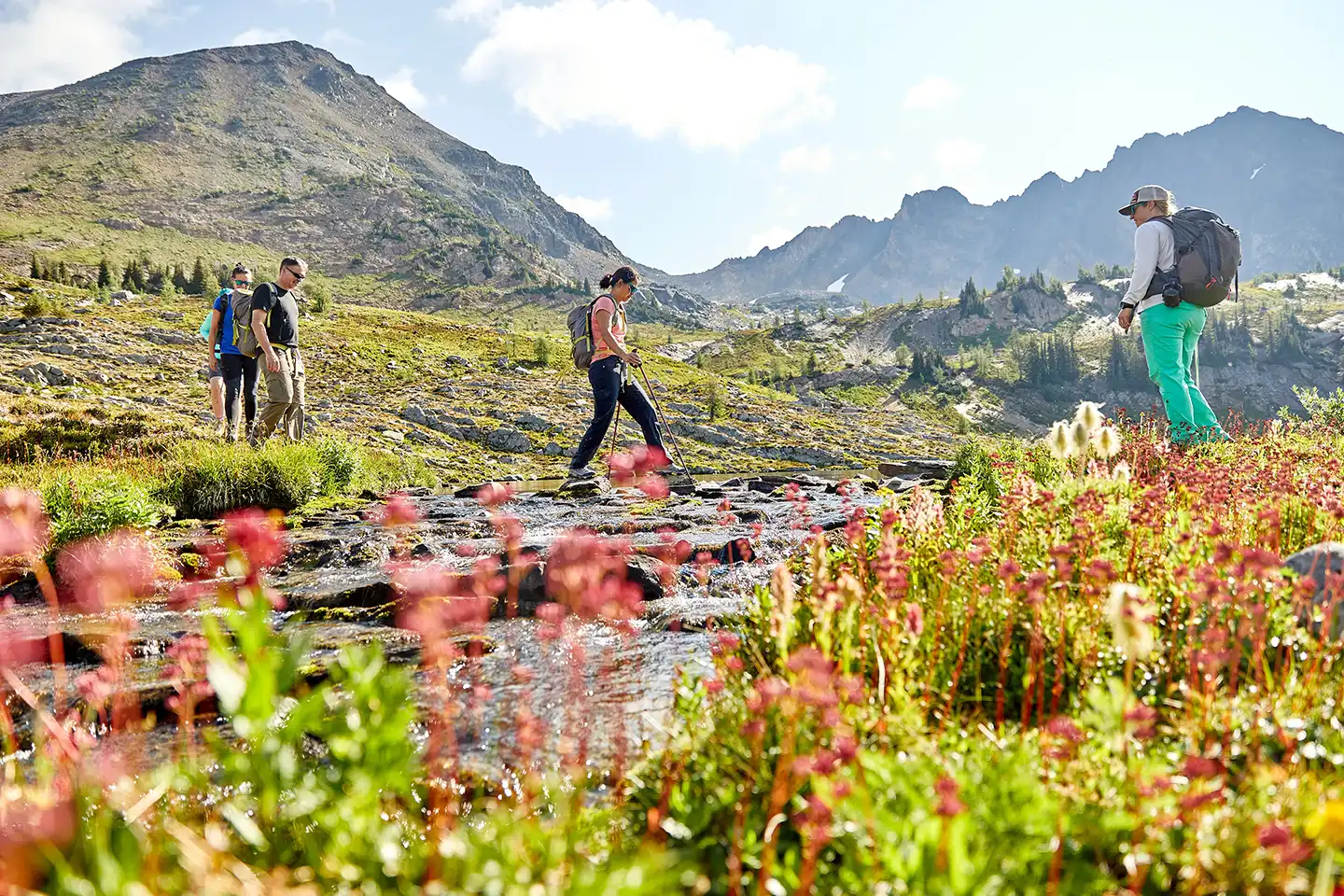 Heli-Hiking FAQ Answered!