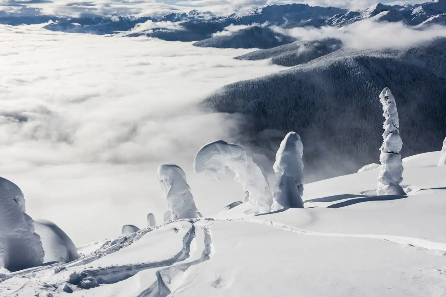 Heli-Skiing FAQ Answered!