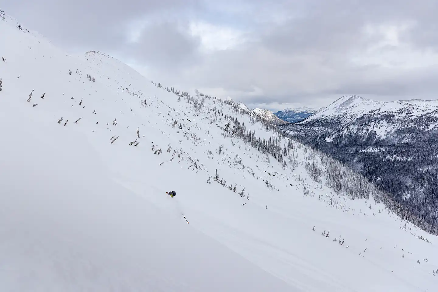 WHAT TO EXPECT WITH CMH POWDER INTRO