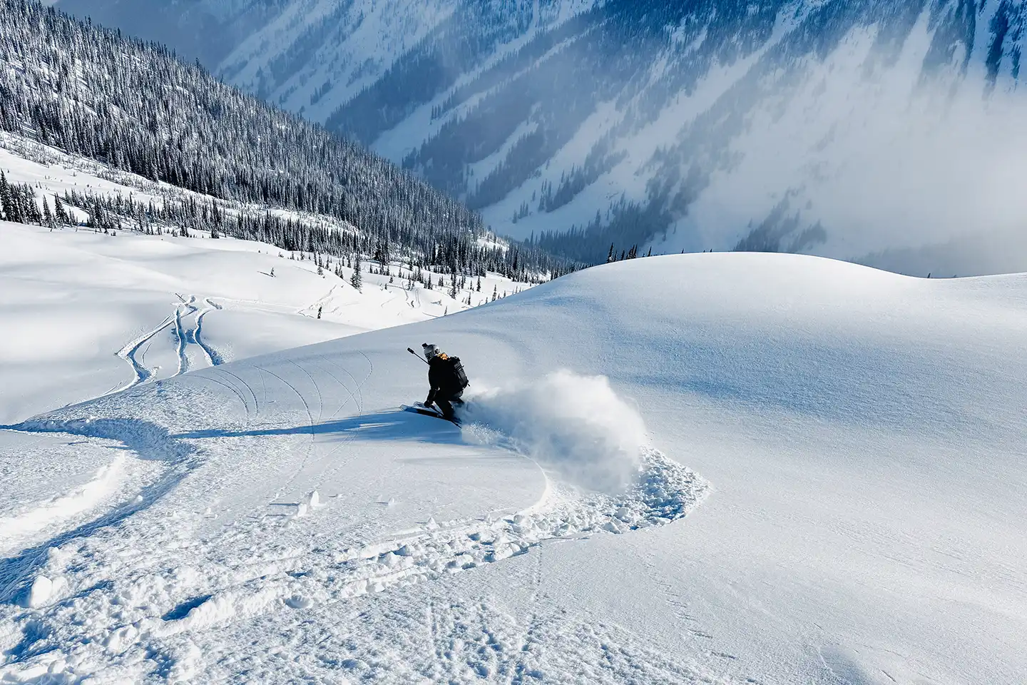 WHAT TO EXPECT WITH CMH POWDER PERFORMANCE