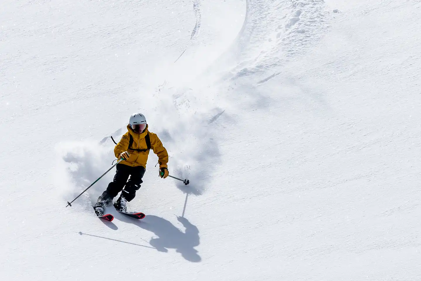 CMH Small Group Heli-Skiing